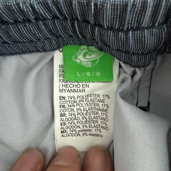 Quiksilver Men's Gray Swim Shorts with Aqua Gradient Stripes - Picture 6 of 7